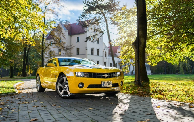 Chevrolet Camaro cena 105000 przebieg: 163000, rok produkcji 2010 z Wieleń małe 781